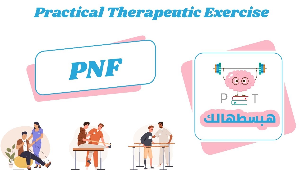 PNF stretch || properioceptive neuromuscular facilitation