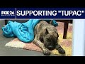 People rallying around Tupac's road to recovery