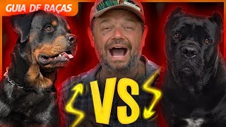 BATALHA ENTRE ROTTWEILER E CANE CORSO | GUIA DE RAÇAS