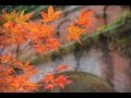 Four Seasons