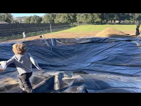 Installing the Pond Liner