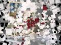 charha de rang.wmv Whatsapp Status Video Download Free
