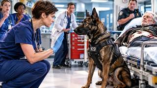 Silent Nurse Suspended for Defying Orders—Her Military K9 Command Triggered a Federal Investigation