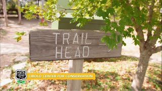 Celebrity Naturally Boerne- YOLO TX Net Worth