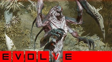 Wraith – Strong Damage, High Speed EVOLVE MULTIPLAYER 2025  #evolve #evolvelegacy