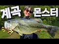 눈에 보이는 배스들....?! 화끈하게 잡아보겠습니다(Feat.네꼬리그)