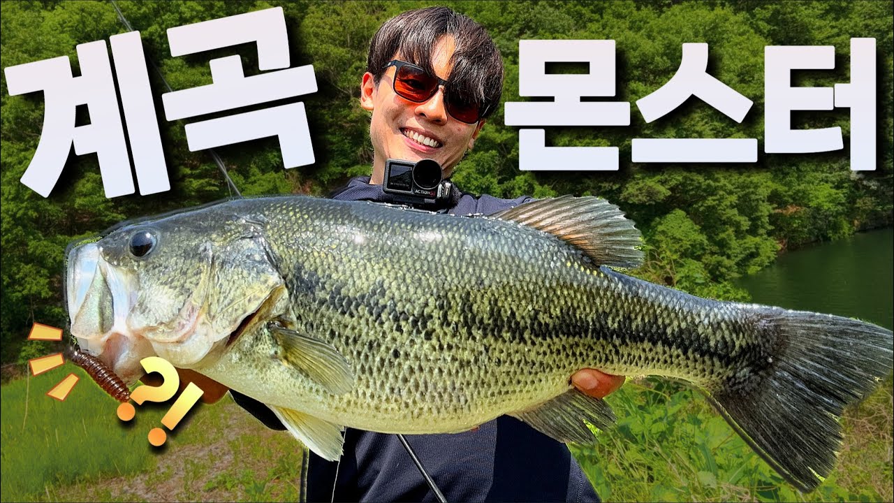 눈에 보이는 배스들....?! 화끈하게 잡아보겠습니다(Feat.네꼬리그)
