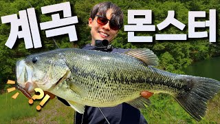 눈에 보이는 배스들....?! 화끈하게 잡아보겠습니다(Feat.네꼬리그)
