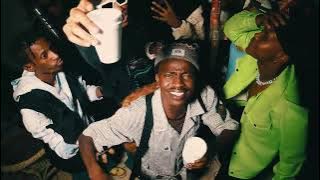 FlowerBoyz Ft UmntungwaMbulazi-AmaDrums Official Music Video