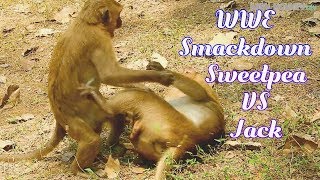 WWE! Smackdown Sweetpea VS Jack-Top funny video Sweetpea birthday