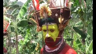 Download Lagu Papua Tribes, Birds of Paradise and Orchids Adventure (2017) memories MP3 Download Lagu Papua Tribes, Birds of Paradise and Orchids Adventure (2017) memories MP3