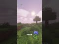 Cuál es el mejor shader? Versión Recursos Medios. Número 9 #minecraft