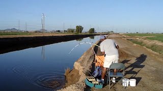 16 Catfish in one day in Arizona Canal. (Throwback)