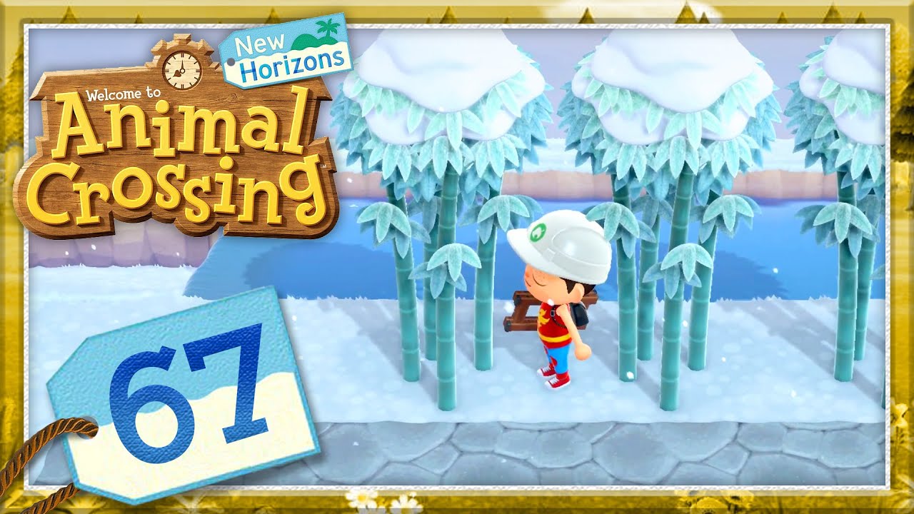 Animal Crossing New Horizons Bambus Pflanzen Bambus anpflanzen & See vergrössern 🏝️ #67 | Animal Crossing: New