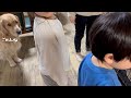 自分の大事なものを愛犬に壊されたときの、４歳児の一言