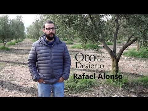 SoilCare: Exploring soil-improving cropping systems within Spanish organic olive groves