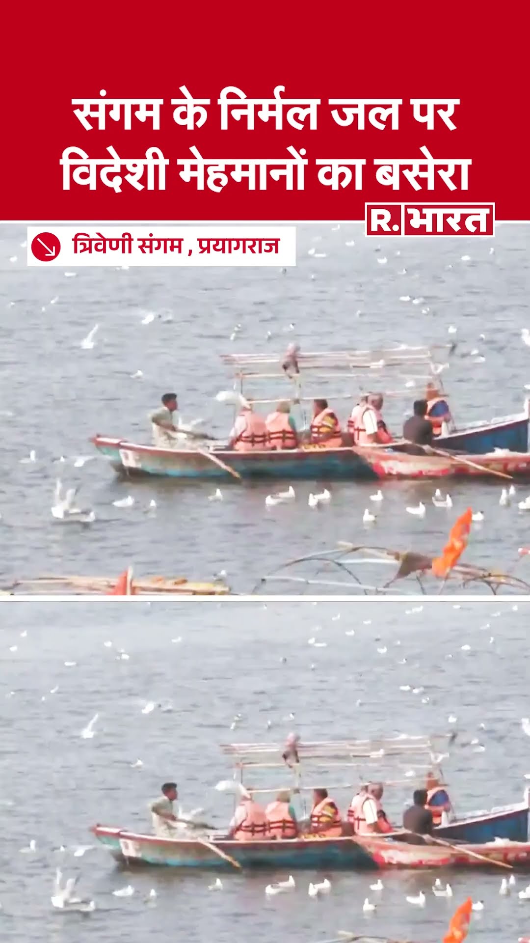 त्रिवेणी संगम तट पर साइबेरियन पक्षियों का जमावड़ा, प्रयागराज में दिखा अद्भुत नज़ारा