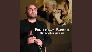 PRETUITI-VA PARINTII