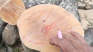 Stirrups for concrete columns what a tree branch can teach engineers TENSION cantilever support