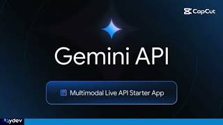 สร้างแอปพลิเคชัน AI แบบ Real-time ของตัวเองง่ายๆ ด้วย Multimodal Live API screenshot 5