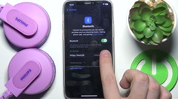 How to Rename Philips TAK4206PK on iPhone