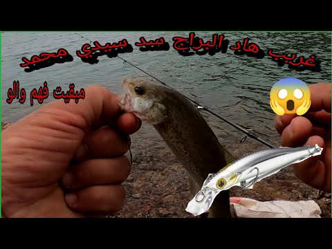 مبقيت فهم والو فهاد براج سد سيدي محمد بن عبد الله هاد بلاك باص فين غابر