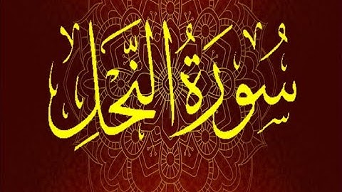Okasha Kameny سورة النحل برواية السوسي عن أبي عمرو البصري.. الشيخ عكاشة كميني