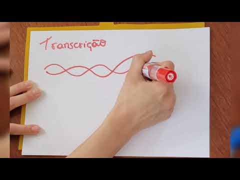 Vídeo: O que é transcrição em teste de DNA?
