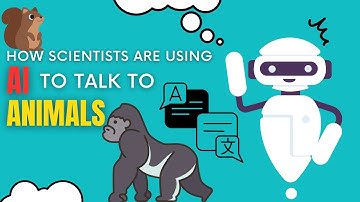 How Scientists Are Using AI to Talk to Animals