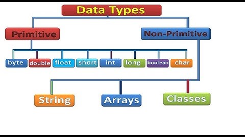 Video -06 Program -JAVA data types| primitive and non-primitive #java #javatutorial #javaprogramming
