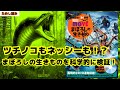 【図鑑MOVEの試し読み】好奇心をくすぐる「まぼろしの生きもの」