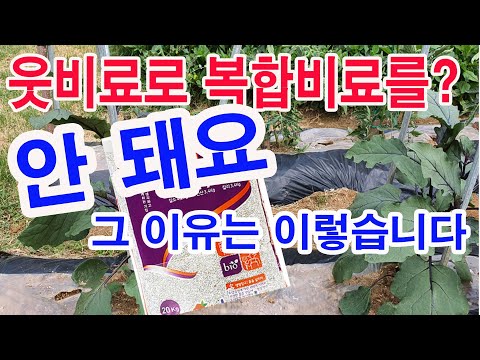 유튜브 미리보기