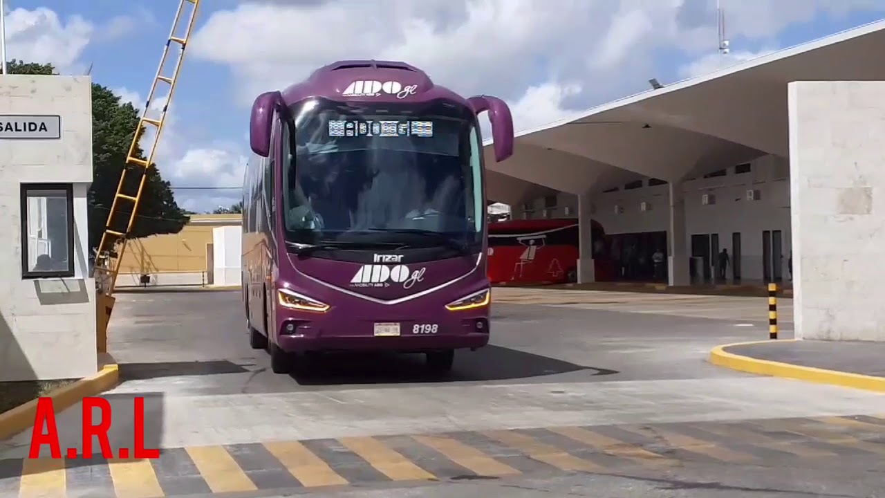 Parte 1... Inauguración de la nueva Terminal de Merida TAME - YouTube