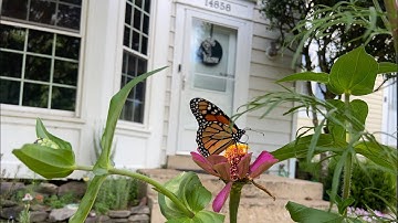 Overlapping Pedal learning @BOCELLIRITTER