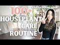 How i care for 100 houseplants part 2  plant chores  houseplant care routine  tips  vlog