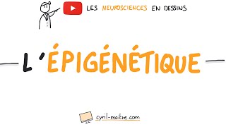 L'ÉPIGÉNÉTIQUE - Les neurosciences en dessins