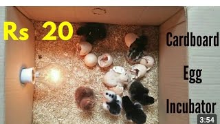 How to hatch eggs at home with Cardboard incubator // Incubator Cardboard box  100% result