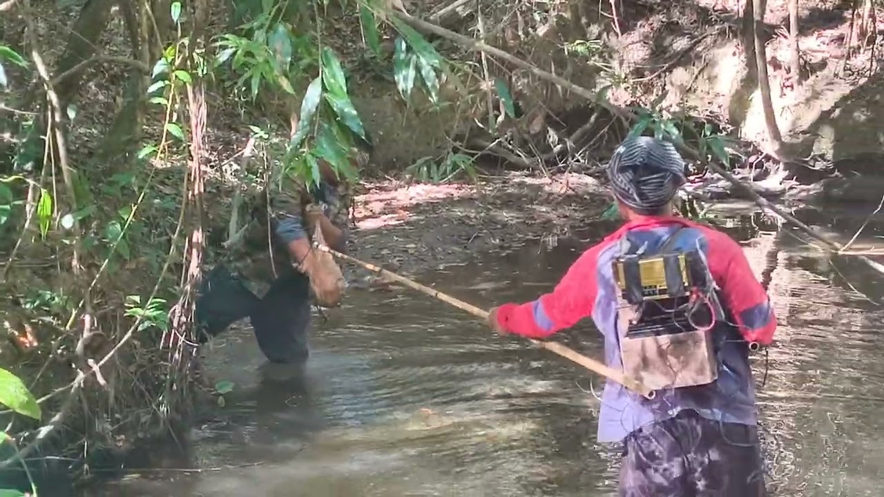 Fishing in the thick forest , 🐠🐠🐠🐟 ,with my two brothers 