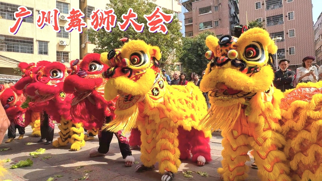 广州春节舞狮大会,十几支舞狮队伍齐欢腾！共享节庆美食佳肴，探索广州舞狮文化/Lion Dance in Guangzhou