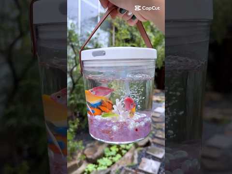 اوعى تغلط الغلطة دي