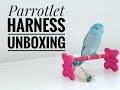 PARROTLET HARNESS  ---  UNBOXING (Aviator Harness & Mini Wings Harness)