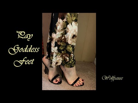 Findom Feet Domination