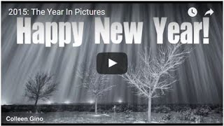2015: Year In Pictures