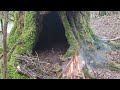 Small Tree Hole Turns To Survival Woodcraft - Off Grid Bushcraft Shelter & Nature Vlog