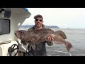 Part 2  lingcod fishing vertical jigging vancouver island