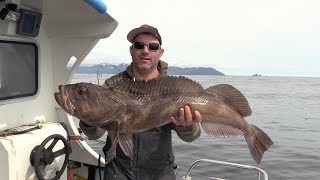 PART 2 - LINGCOD FISHING Vertical Jigging Vancouver Island