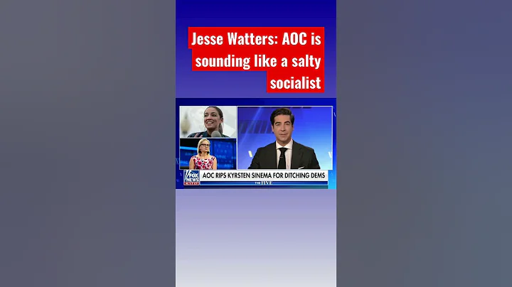 Jesse Watters: Democrats are fighting again #shorts
