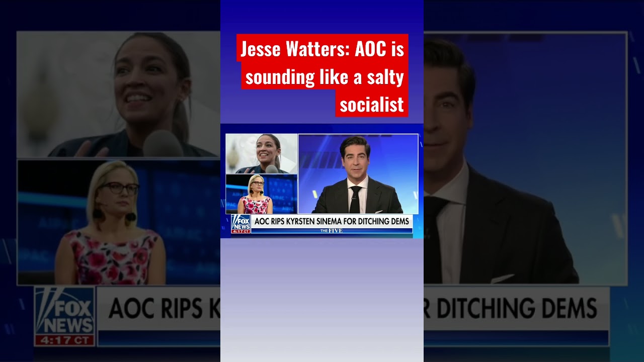 ⁣Jesse Watters: Democrats are fighting again #shorts