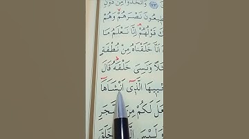 سورة يس الأية 78 إلى 80 بصوت سعد الغامدي