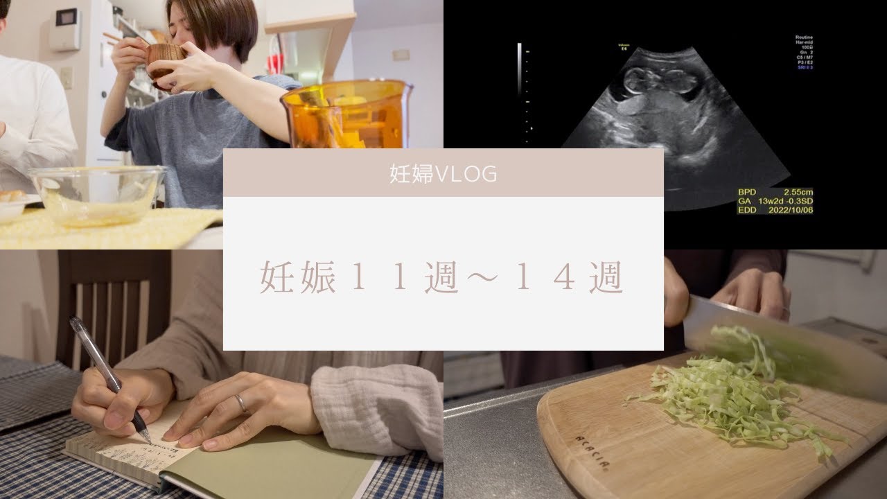 【妊婦】妊娠１１週〜１４週のリアルな様子/以前の妊娠糖尿病の経過/出血🩸/和痛(無痛)分娩/エコー動画あり